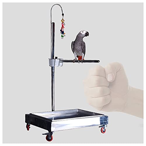 Bird Cage Luxury Stainless Steel Parrot Seven-Shaped Shelf Liftable Large and Medium-Sized Parrot Stand with Brake Parrot Bird Shelf Bird Supplies Bird Cage Birdcages Decor (Silve,Silver