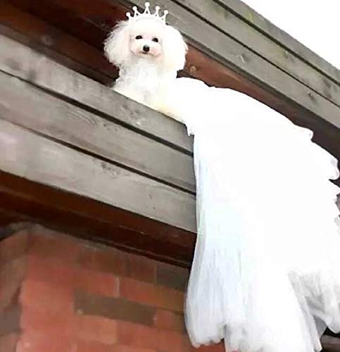 Princess Pet Dog Wedding Dress Cats Dress Puppy Skirt Clothes Pet Tutu Skirt Bride Costume Supplies (Size : Large) (Small)