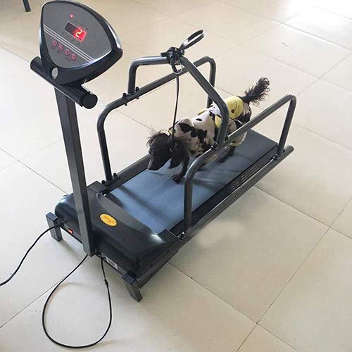 Folding Treadmills Pet Treadmill Animal Treadmill Dog Supplies Puppy Treadmill Indoor Exercise, Pet Fitness Equipment with Display Screen Very