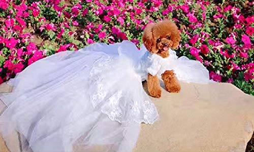Princess Pet Dog Wedding Dress Cats Dress Puppy Skirt Clothes Pet Tutu Skirt Bride Costume Supplies (Size : Large) (Small)