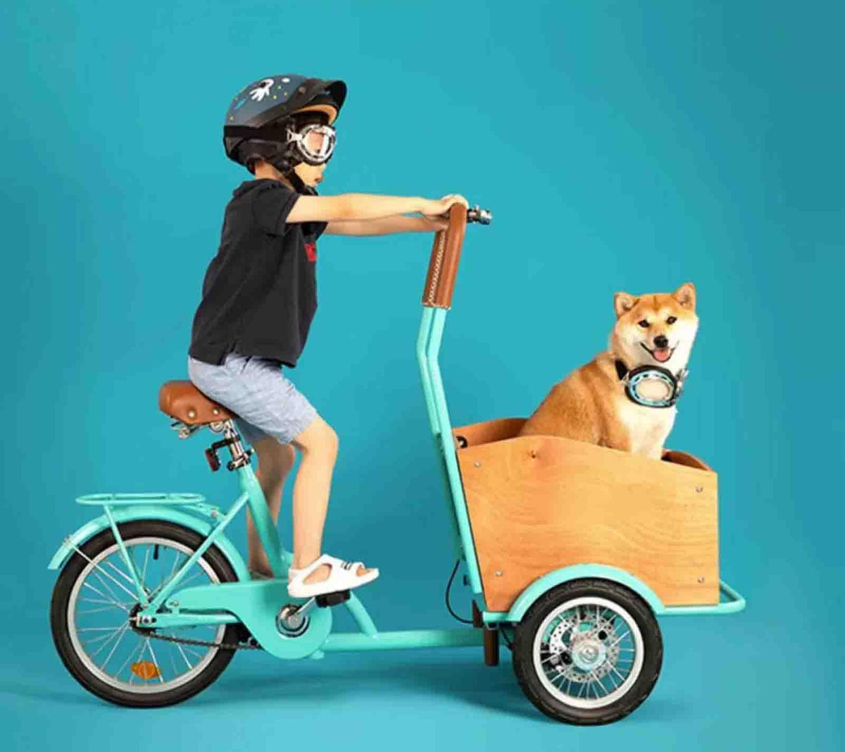 Pet Dog Bicycle Cart, Portable Dog Cart for Small and Medium Dogs, Bicycle Trailers for Travel, for Carryng Pets,Green