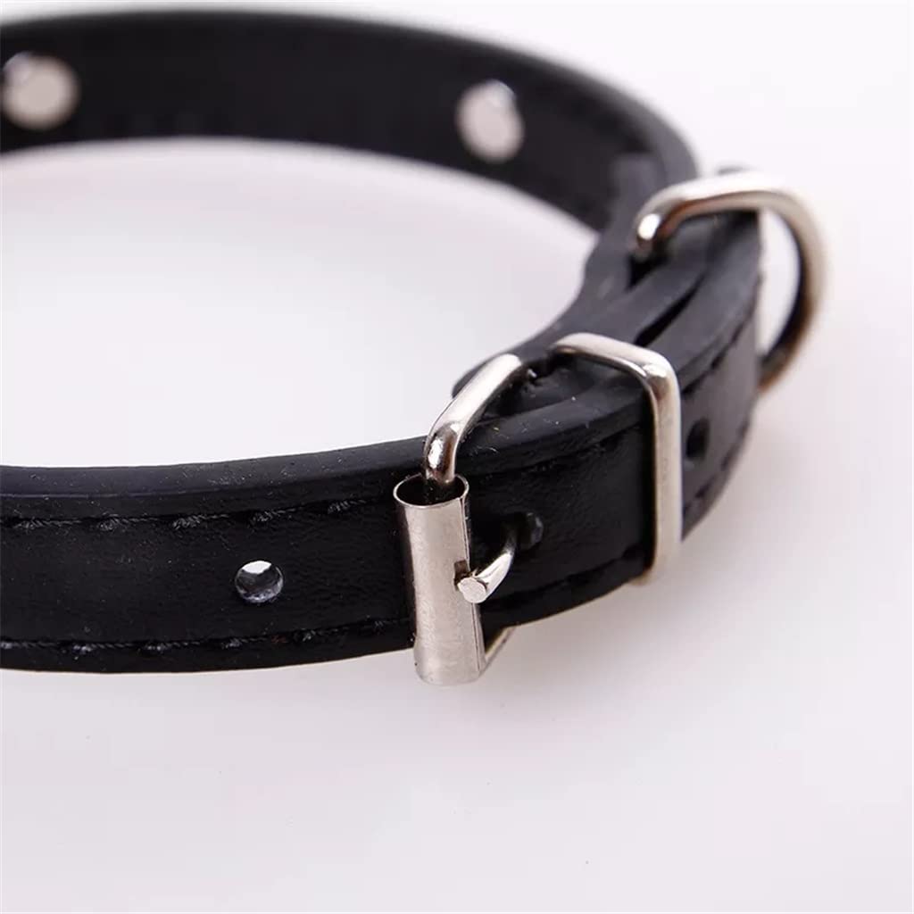 Bone Leather Durable Pet Dog Collar Pet Supplies Accessories Neck Strap Collar for Dog Puppy Pug Collars for Small (Black Medium)