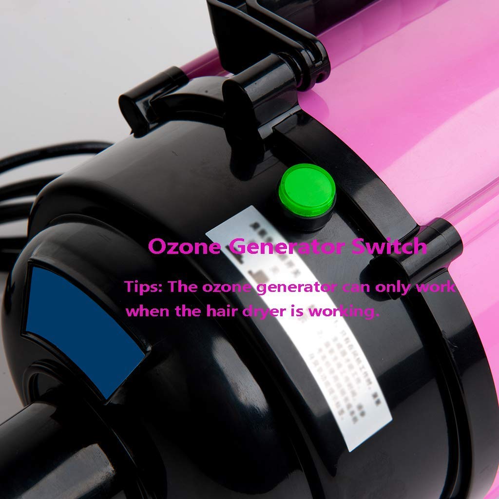 Pet Grooming Hair Dryer Stepless Wind Speed Professional Dog Cat Hairdryer with Ozone Disinfection 2 Gear Temperature High Power Silent Blaster Fur Blower,16Wozone