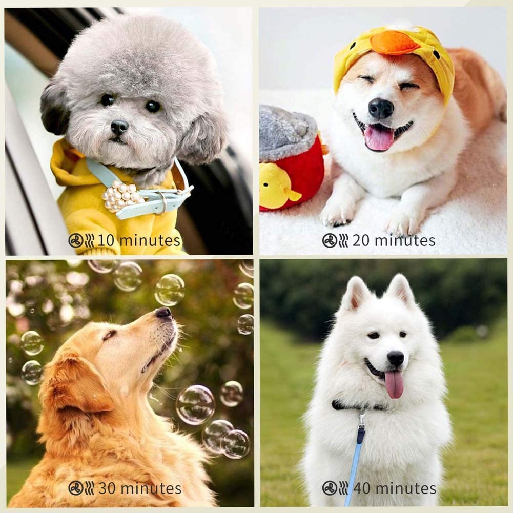 Dog Dryer, 2200W/3.2Hp Motor Stepless Adjustable Speed Dog Hair Dryer Pet Hair Force Dryer Dog Grooming Dryer, Reduce Noise, Heat Insulation (Color : White)