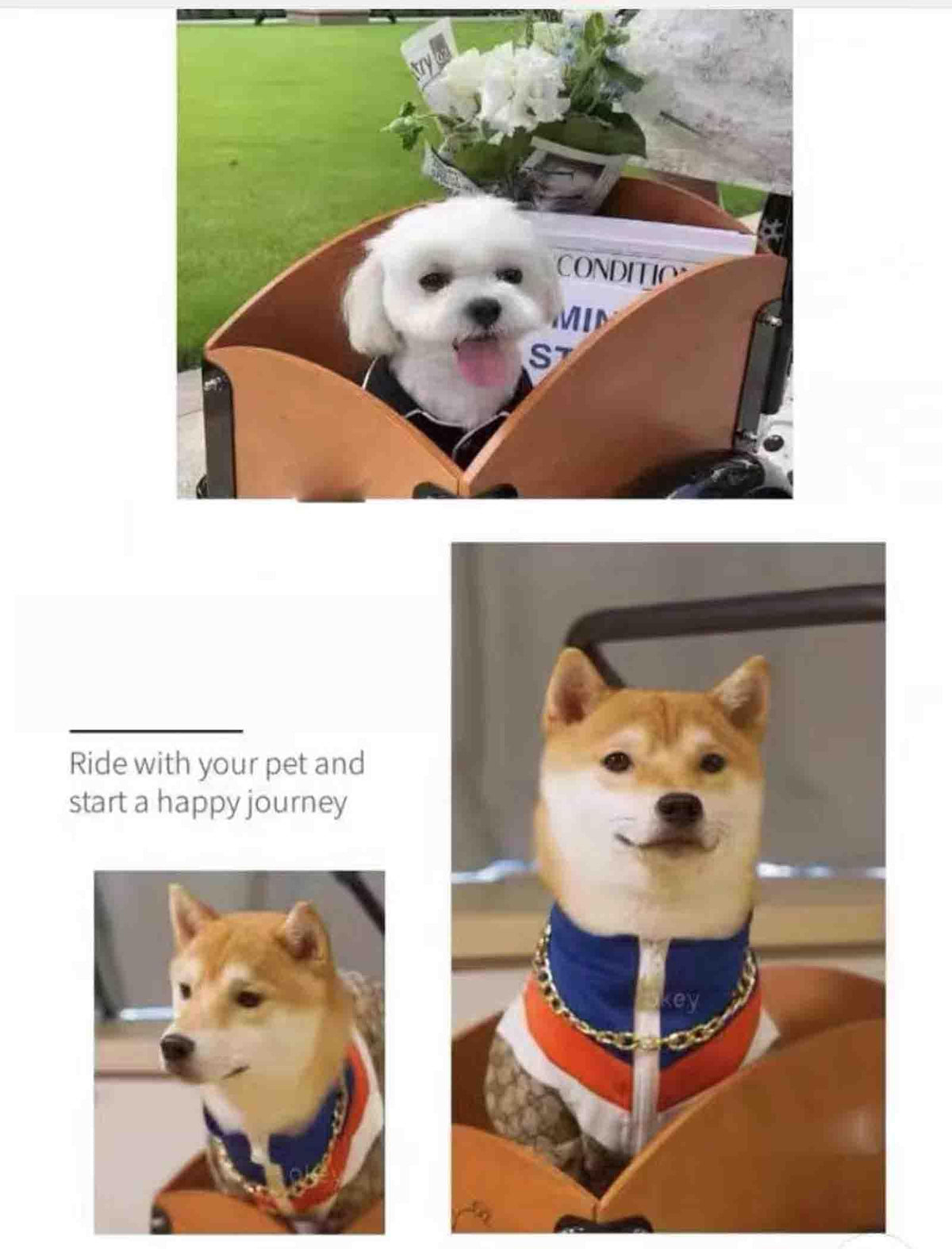 Pet Dog Bicycle Cart, Portable Dog Cart for Small and Medium Dogs, Bicycle Trailers for Travel, for Carryng Pets,Green