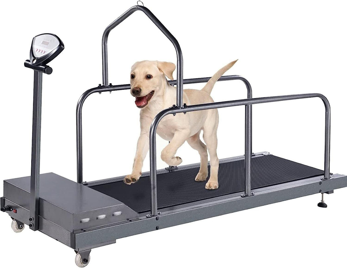 Pet Treadmill,Dog Treadmill Training Machine,Dog Wheel Trainer, with LCD Display,Suitable for Indoor Treadmill,Suitable for Pet Exercise(B)