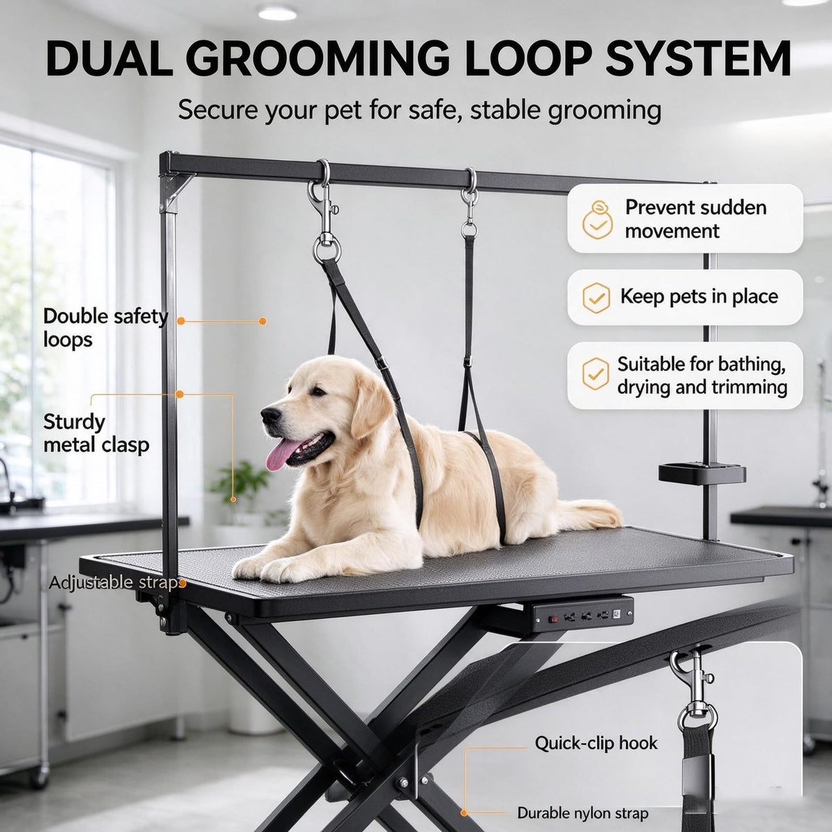 Lifting Pet Grooming Table With Noose, Foot-operated Switch, 100kg Load