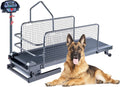 Dog Treadmill for Large Medium Dogs, Pet Running Machine with LCD Display, Supports Up to 220LBS, Adjustable Speed 0.8-12KM/H, Safety Lock and Fence, Easy to Assemble with Wheels