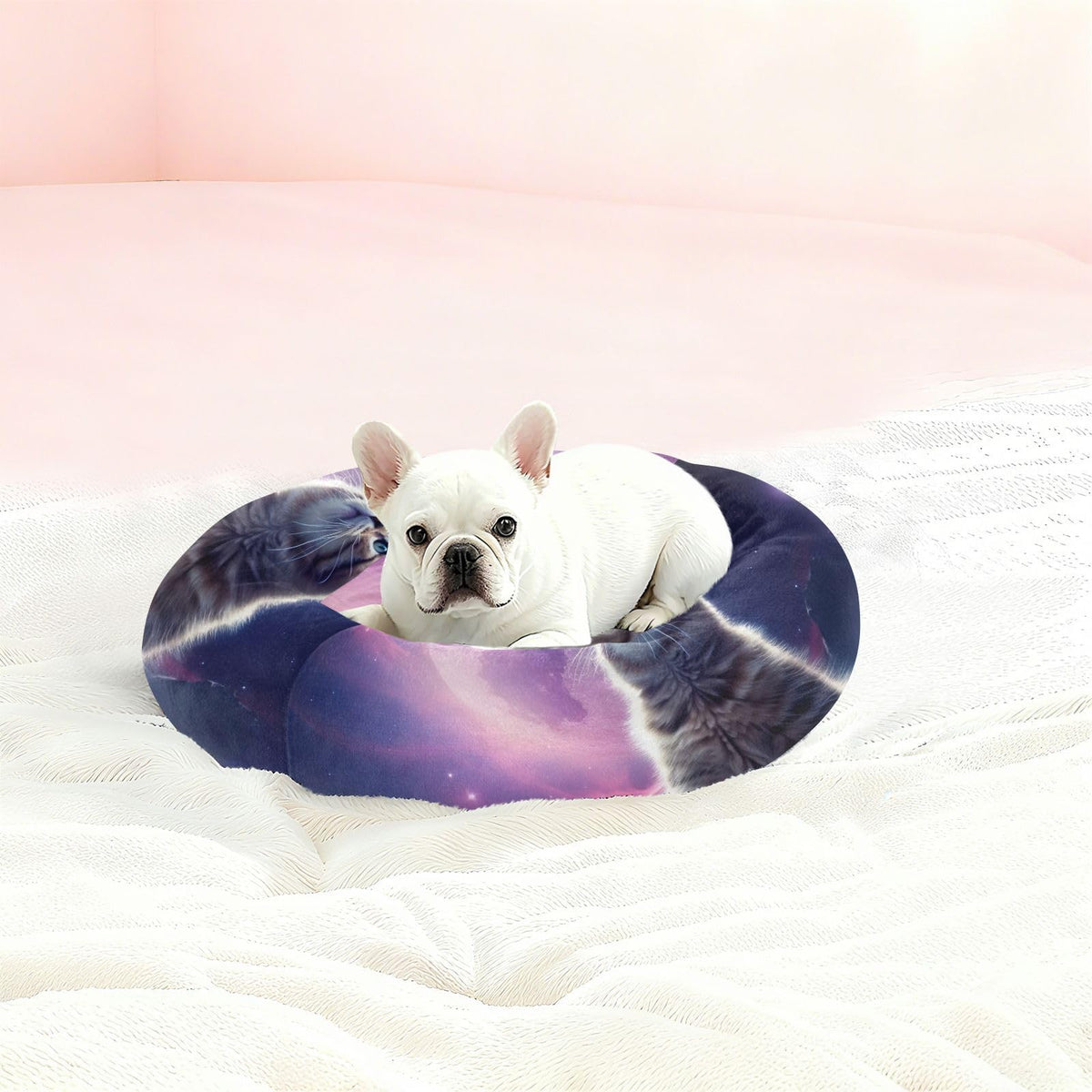 Donut Dog Bed for Small Dogs & Cats - Cat on The Moon Calming Anti-Anxiety Pet Bed with Non-Slip Base, Removable & Machine Washable, 22"
