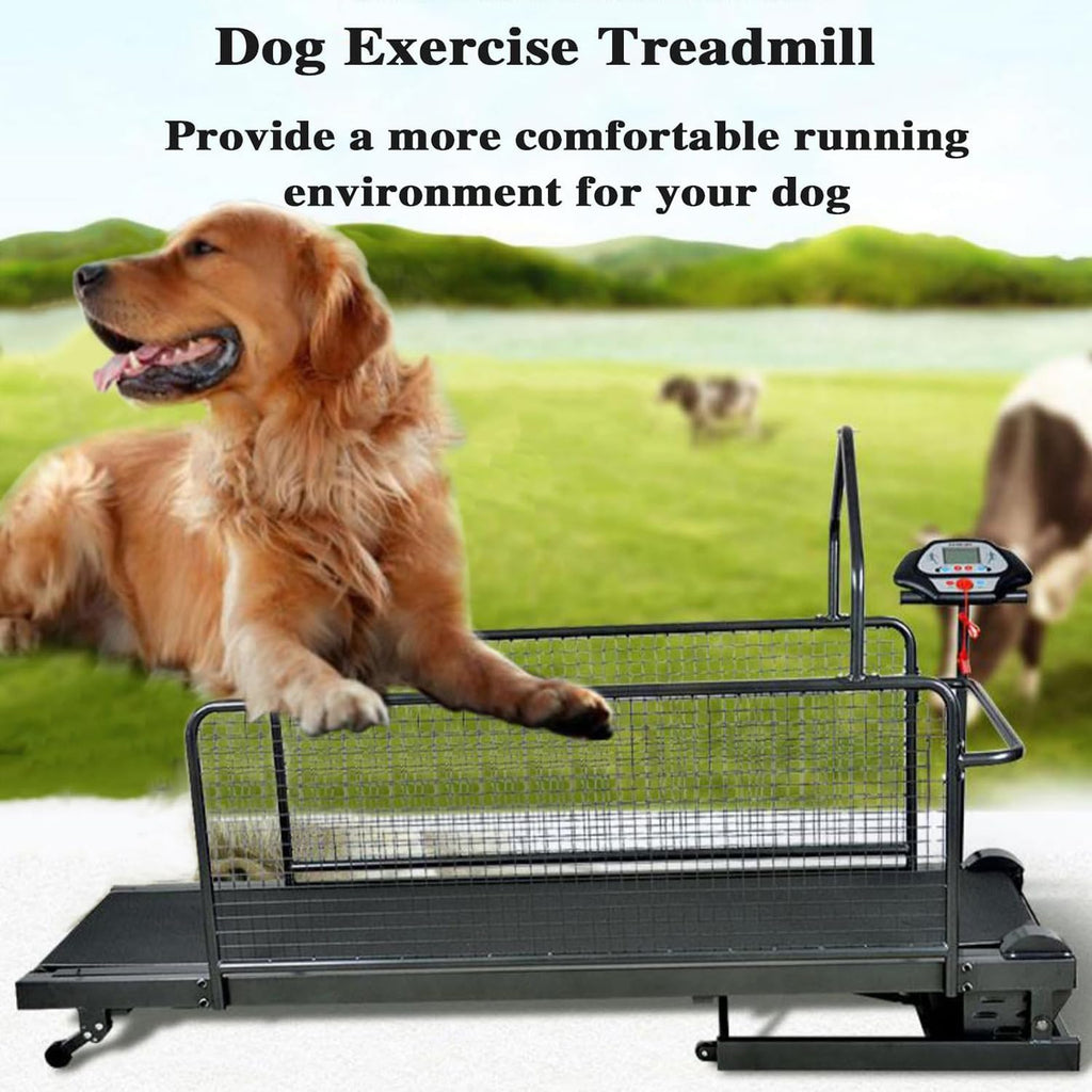 Dog Treadmill for Large Medium Dogs, Pet Running Machine with LCD Display, Supports Up to 220LBS, Adjustable Speed 0.8-12KM/H, Safety Lock and Fence, Easy to Assemble with Wheels