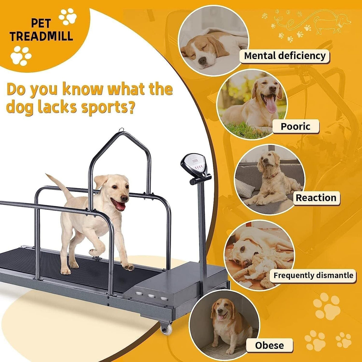 Pet Treadmill,Dog Treadmill Training Machine,Dog Wheel Trainer, with LCD Display,Suitable for Indoor Treadmill,Suitable for Pet Exercise(B)