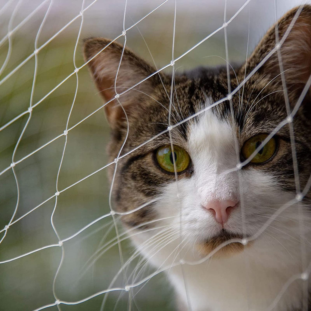 This Bird Netting for Balcony Safety - Extra Wide Transparent Nylon Fence for Dogs and Cats, Reusable Garden Trellis for Stairs and Windows, Pet Protection Netting.