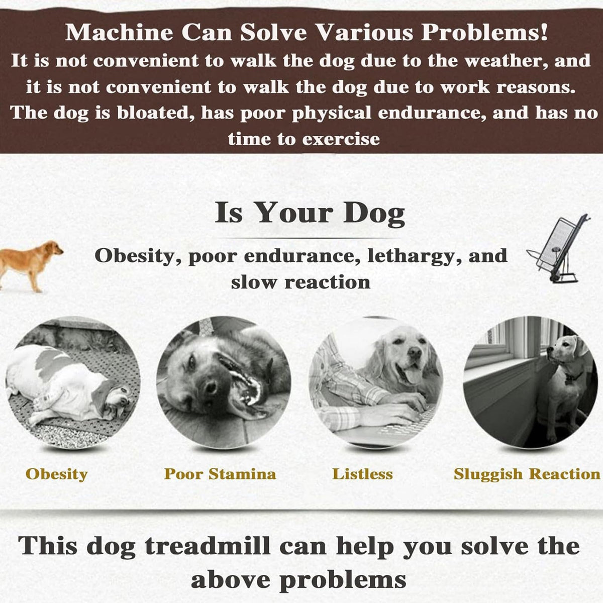 Dog Treadmill, Fitness Pet Dog Running Machine,Pet Dog Running Machine Exercise Equipment with LCD Display Scree,Speed 0.8-12 Km/H, for Dogs Indoor & Outdoor Training, Up to 220LB