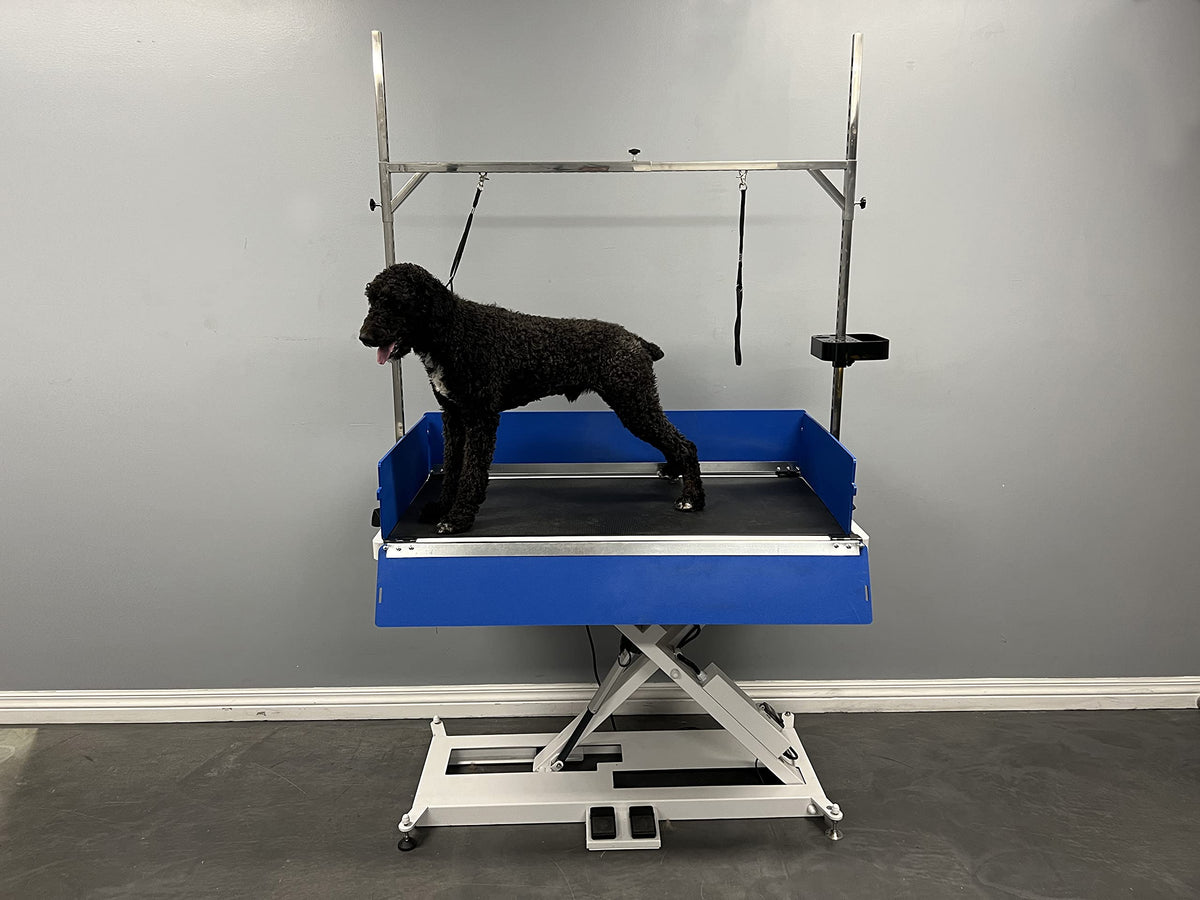Duralift 41 Grooming Table (Complete Package)