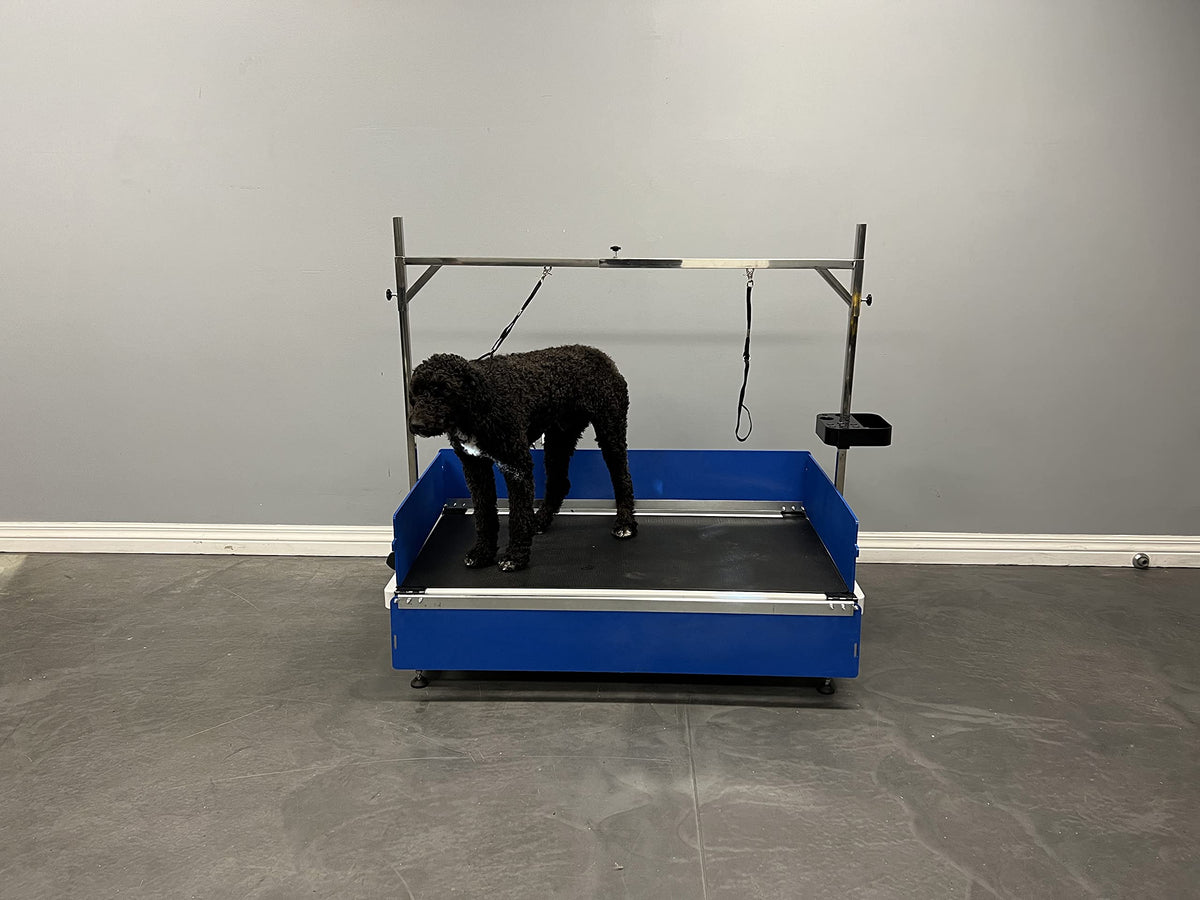 Duralift 41 Grooming Table (Complete Package)
